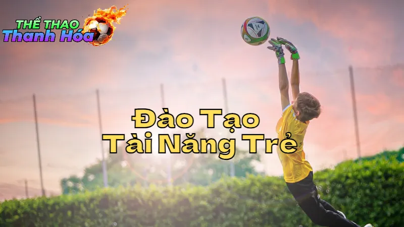 Đào Tạo Tài Năng Trẻ Trong Thể Thao