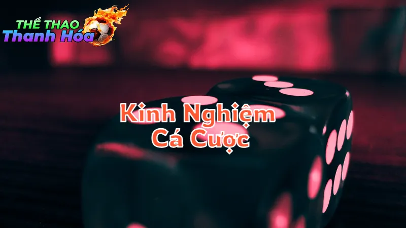 Kinh Nghiệm Cá Cược Thành Công