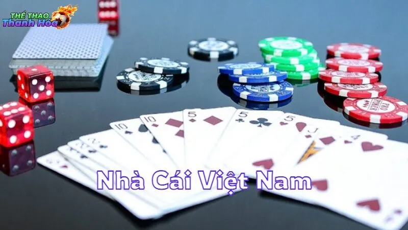 Nhà Cái Việt Nam Cung Cấp Dịch Vụ Chất Lượng Cao